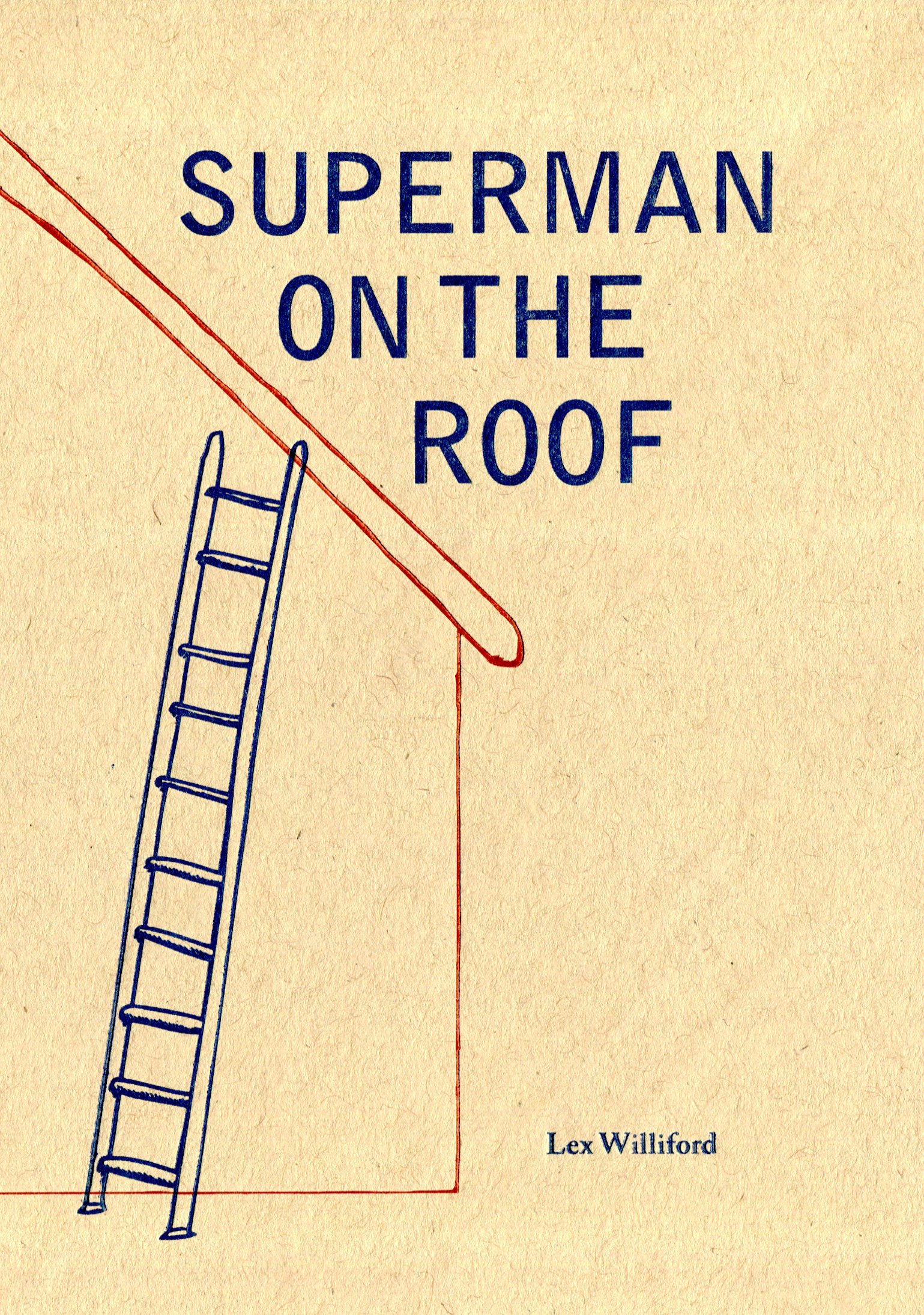Superman on The Roof Book Cover